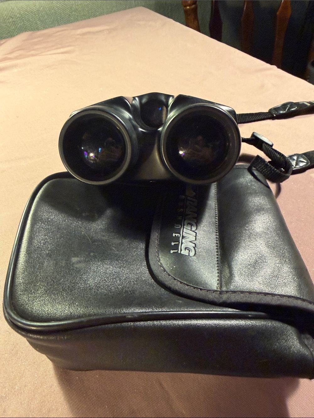 Black Compact Binoculars with Carry Case and Neck Strap